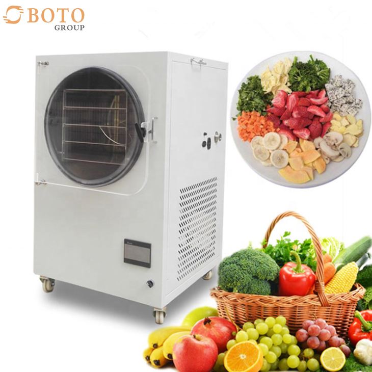 Commercial Spay Dryer Small Freeze Drying Vacuum Lyophilized Vegetable Fruit Drying Oven Home Freeze Dryer
