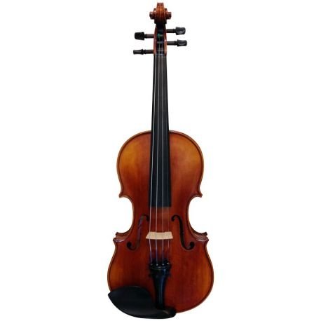 Violin Pitalz 1040