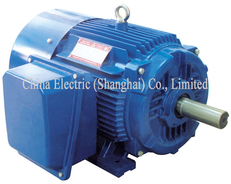 NE series NEMA AC motor