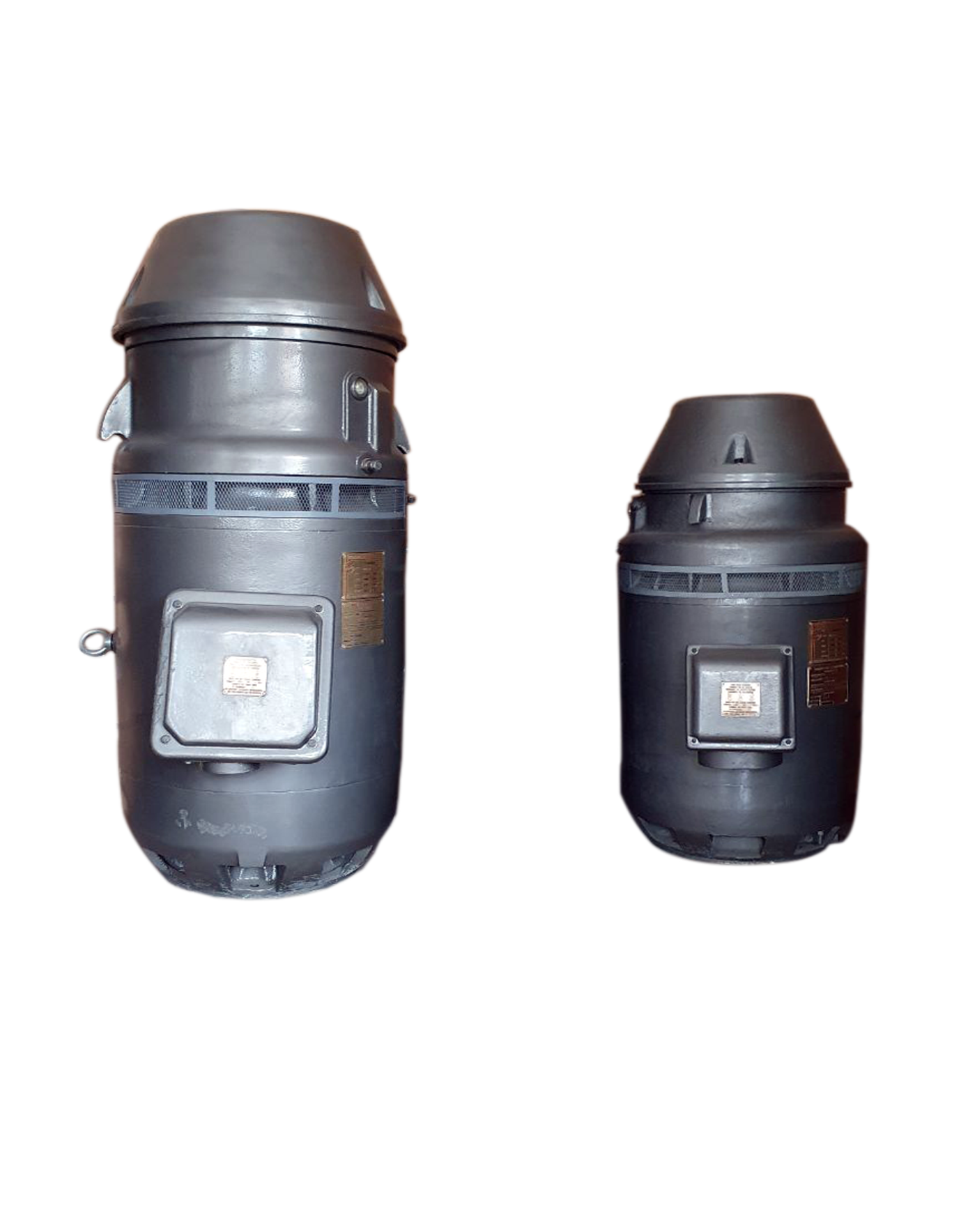 الکتروموتورهای عمودی