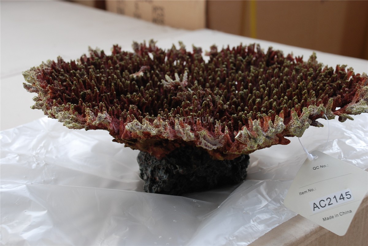 محوطه سازی مرجانی