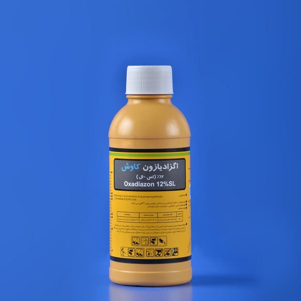 اگزادیازون کاوش