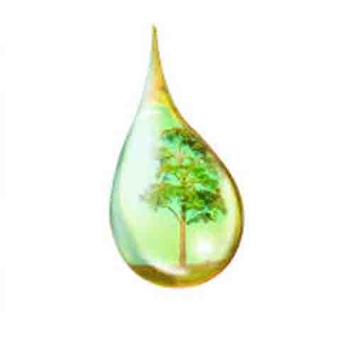 DOP replacement plasticizer