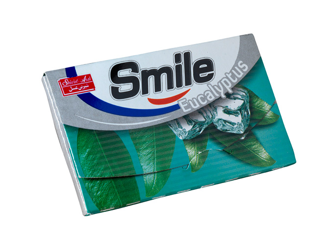 آدامس استیک اسمایل 7 عددی - اکالیپتوس