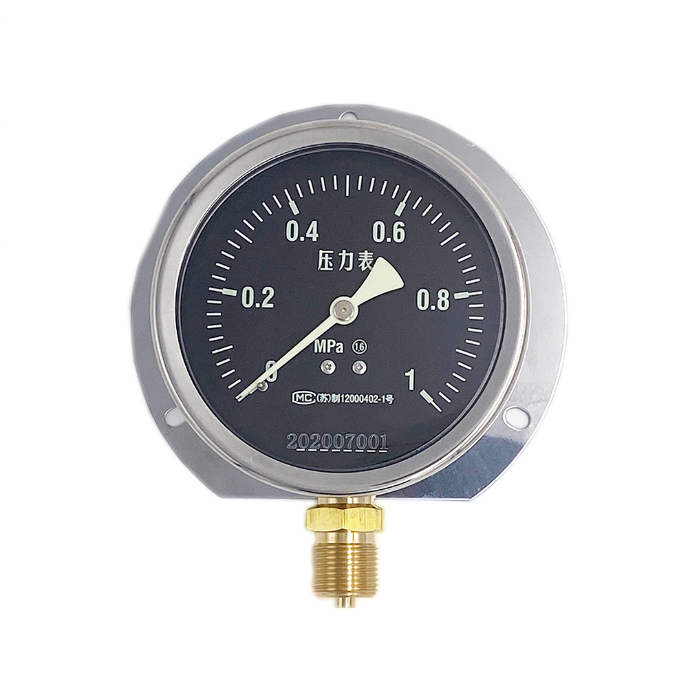Marine pressure gauge