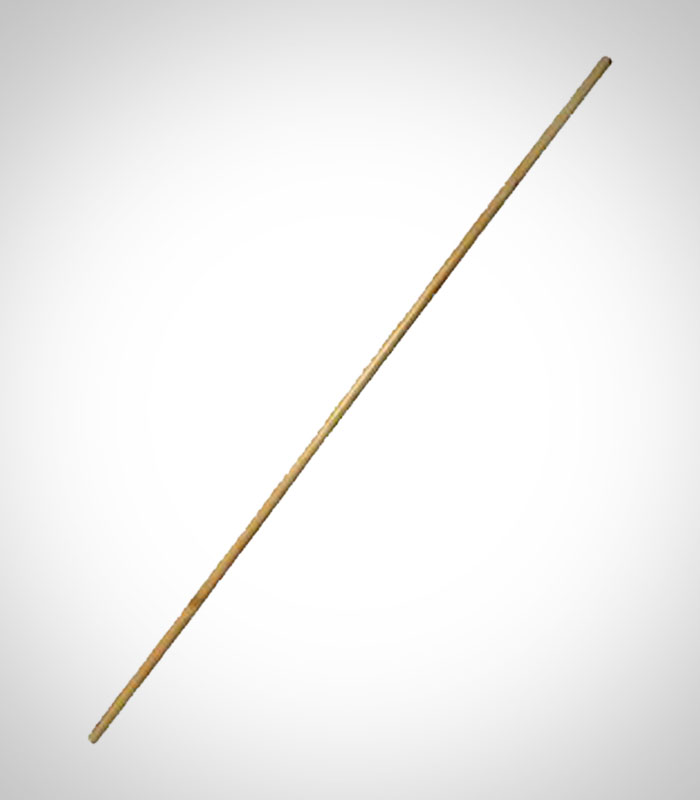 میله ایروبیک