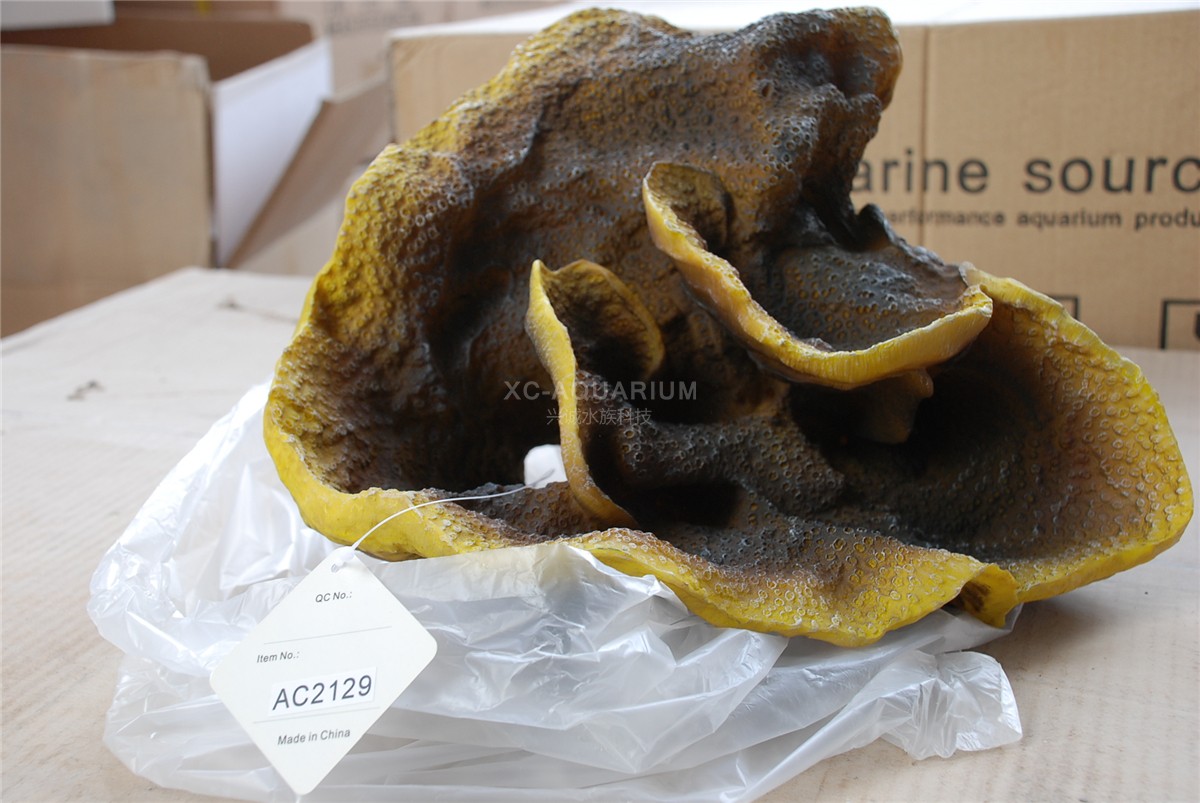 محوطه سازی مرجانی