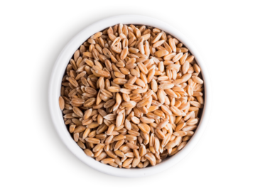 هسته های املایی