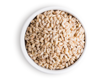 Barley kernels
