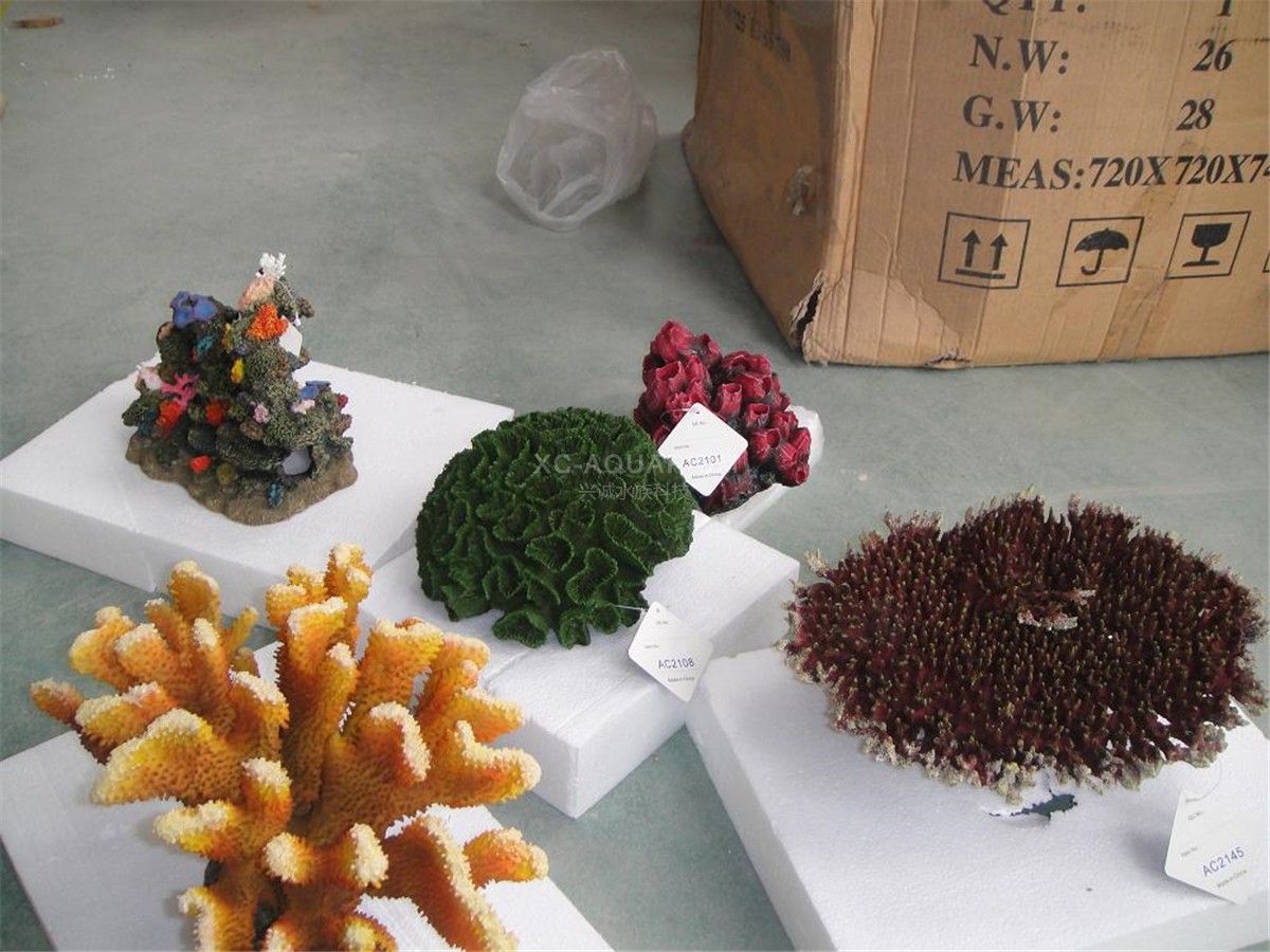 محوطه سازی مرجانی