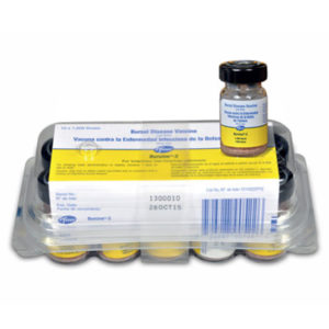 بورسین® – 2 | 2 – ®Bursine