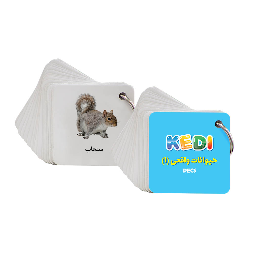 کارت دیداری کدی دسته حیوانات واقعی 1