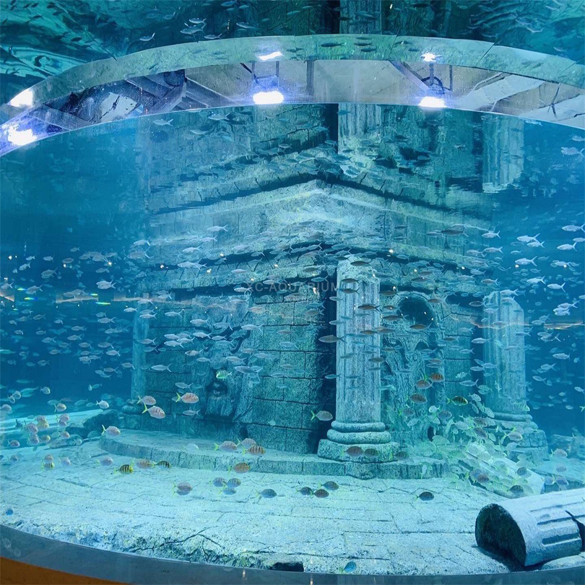 large acrylic cylinder aquarium