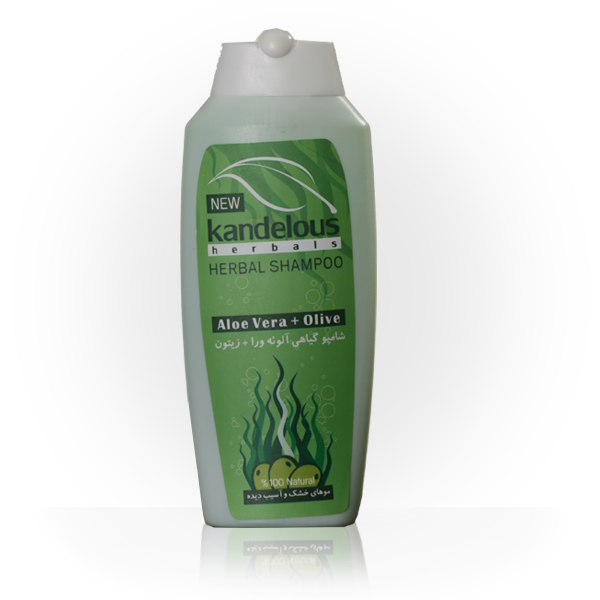 شامپو آلوئه ورا + زیتون