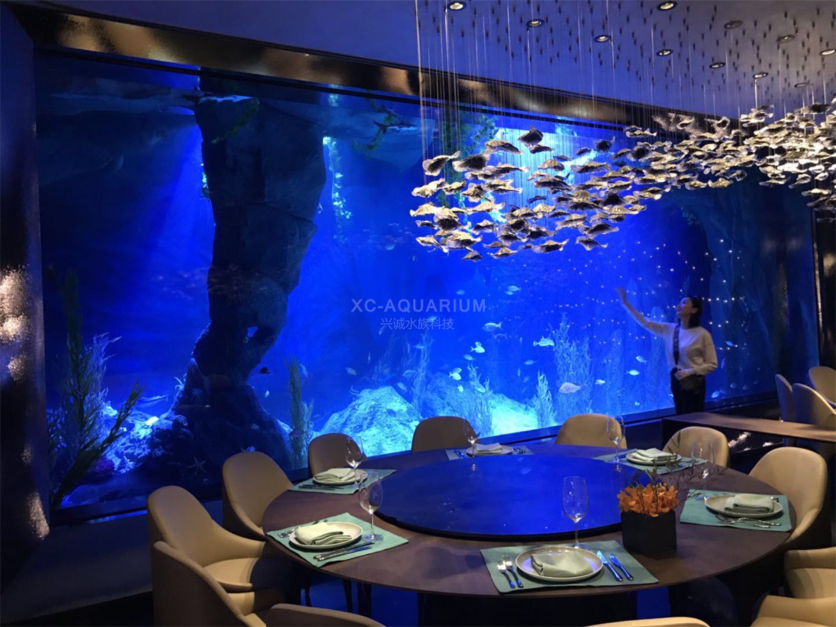 hotel acrylic aquarium project