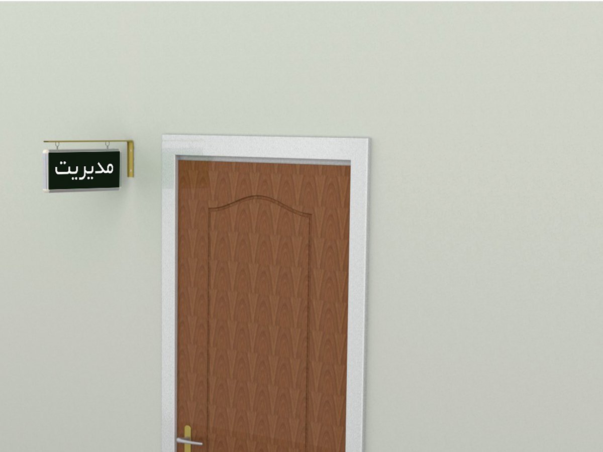 Emergency light and exit guide