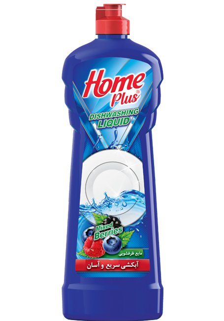 Dishwashing Liquid 750 gr