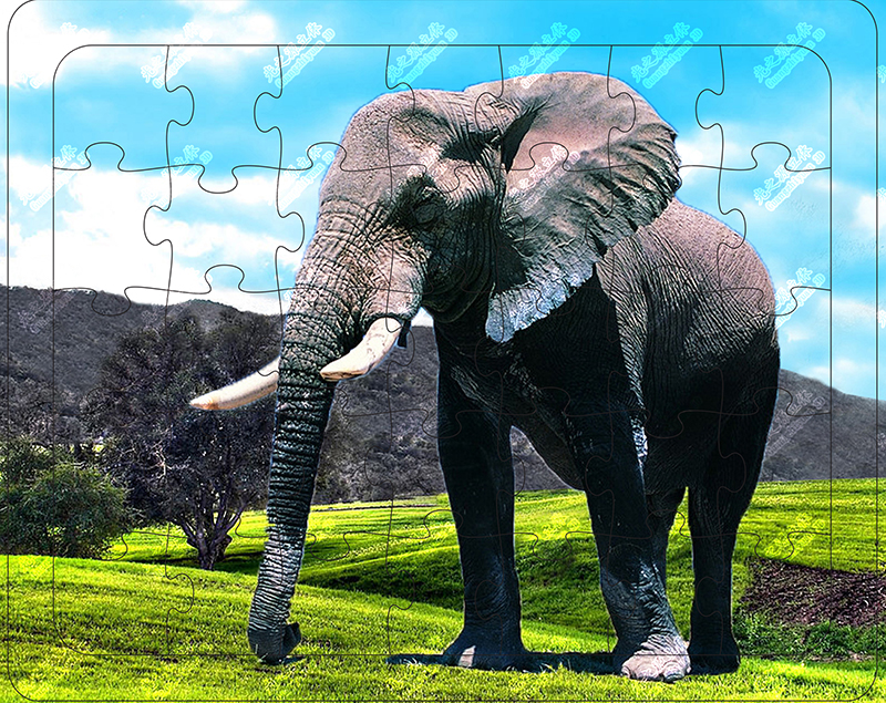 پازل سه بعدی با طرح فیل های آفریقایی