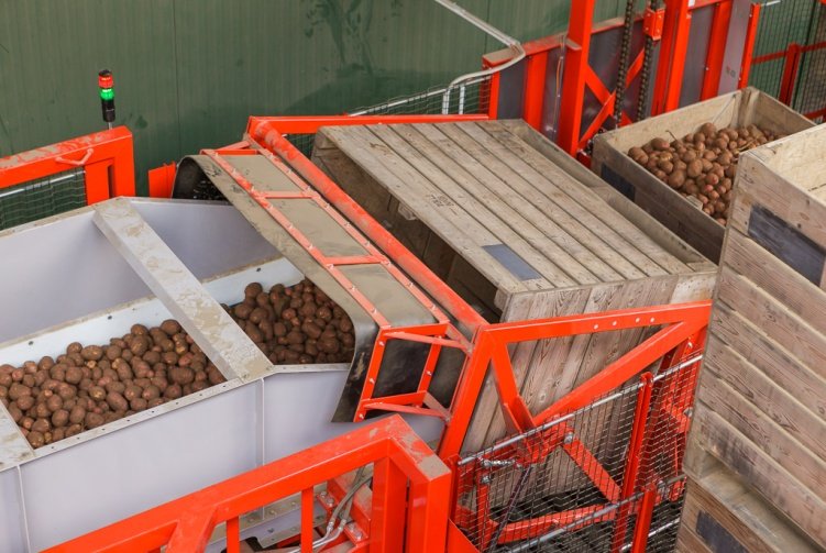 Potato receiving, grading and packaging machines