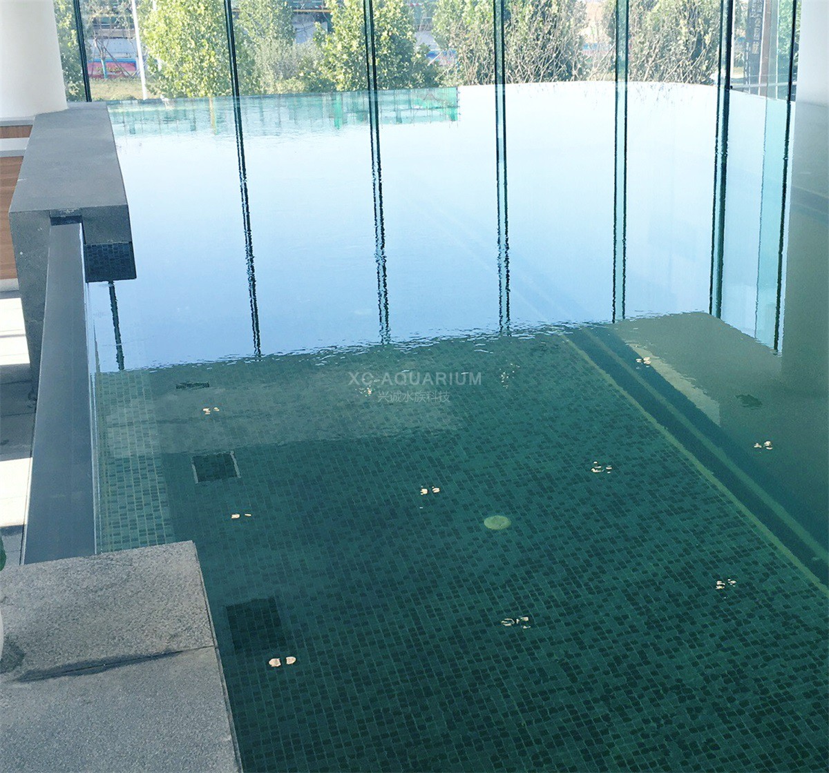 swimming pool project