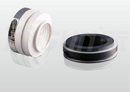 TS 20 TS 20R (جان کرین نوع 20 20R)