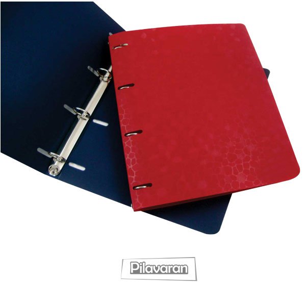 کلاسور سنگ فرشی