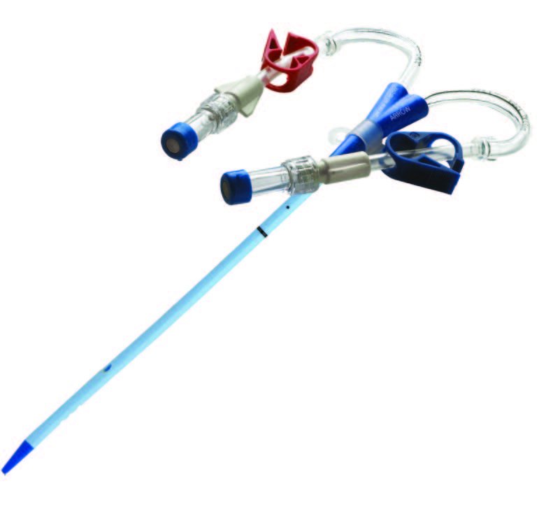 Temporary hemodialysis catheters