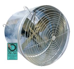 فن سیر کوله