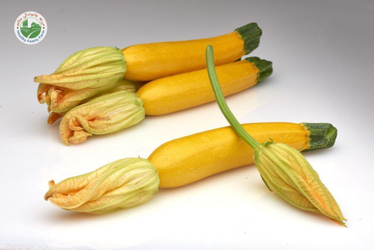 Organic Stewed Zucchini