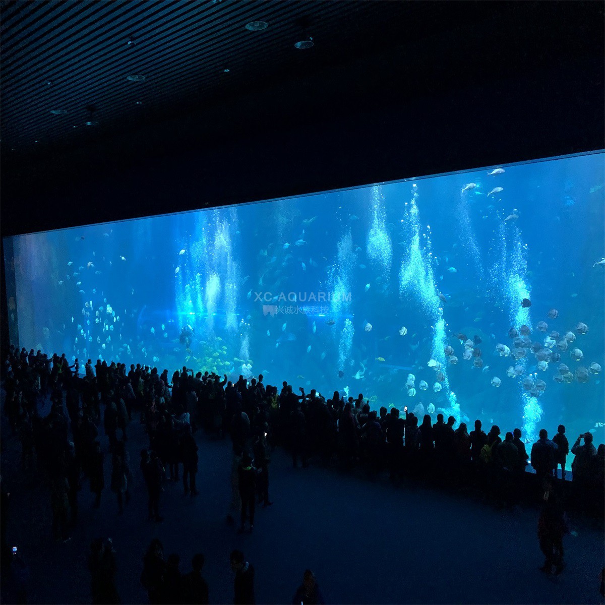 Guinness world record Aquarium