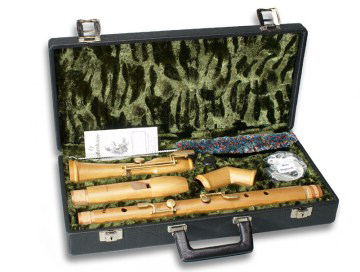 Recorder case for bass