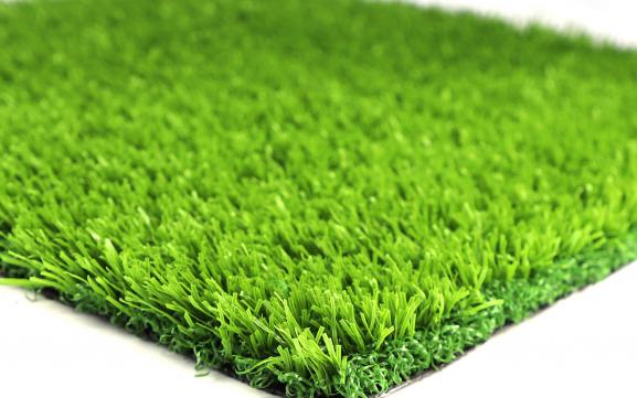 Landscaping Grass - WL-3024066-U