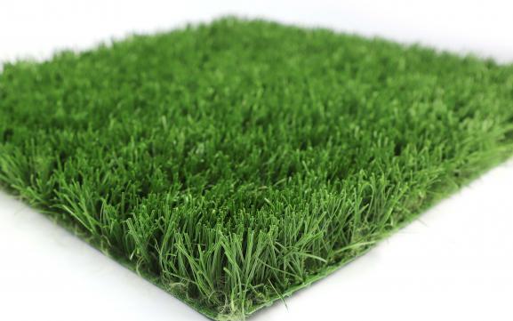 Sports Grass - WS-SWC-50160140-U