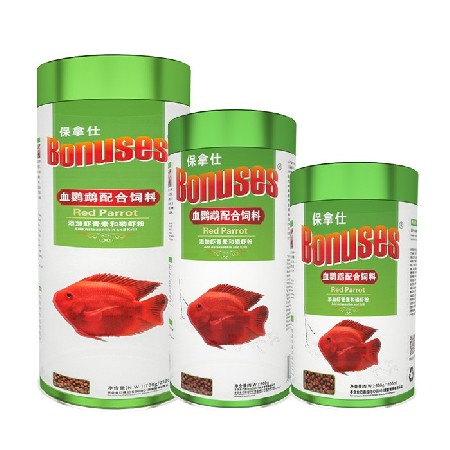 غذای طوطی قرمز