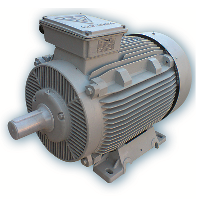 الکتروموتورهای سه فاز با بدنه چدنی