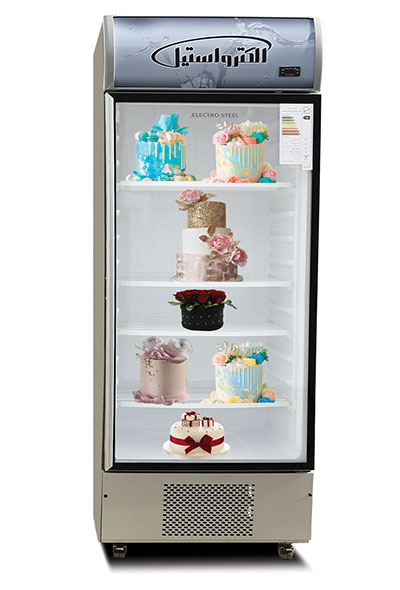 Maryam single door standing fridge freezers