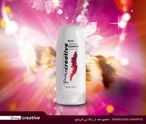 شامپو انرژی بعد از رنگ پی کریتیو