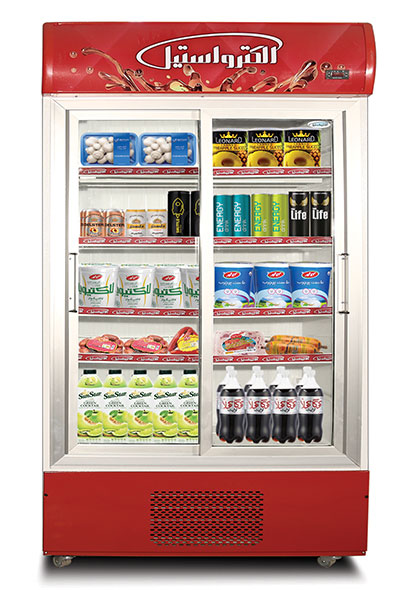 Standing refrigerators, Nestern standing refrigerators