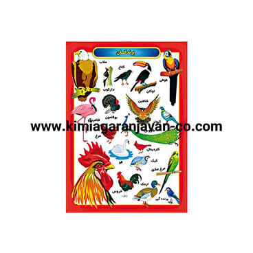 پوستر برجسته انواع پرندگان