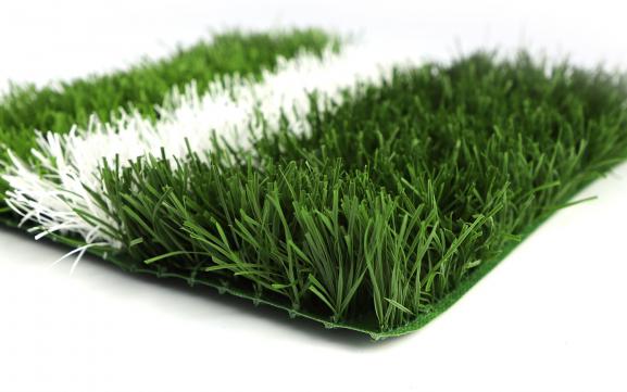 Sports Grass - WS-S+C-5017088-U