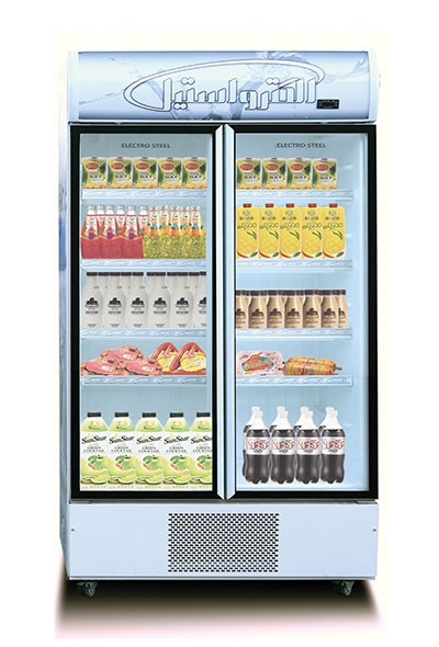 Nasrin standing fridge freezers