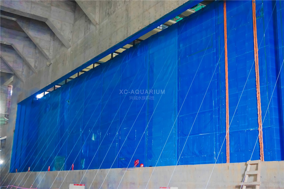 650 acrylic panel aquarium