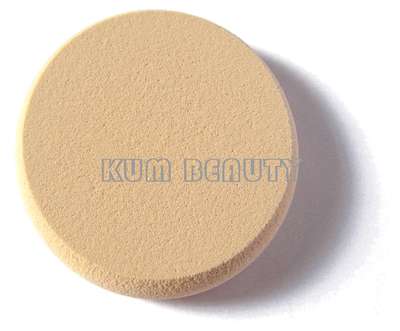 FS0101 make up sponge round