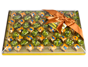 کادویی ونوس روباندار پرتقال