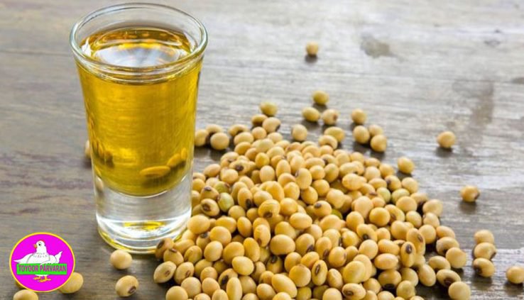 روغن مرغوب ویژه طیور مرغداری