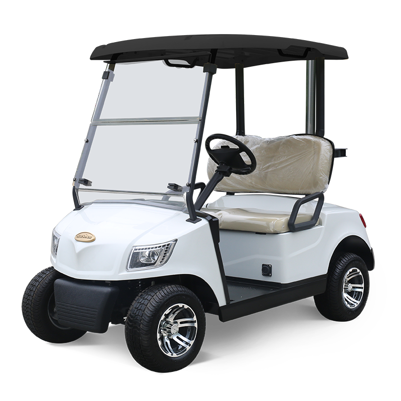 2 Seater Golf Cart DG-M2