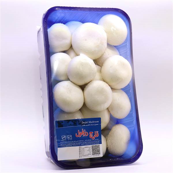 قارچ یک کیلویی