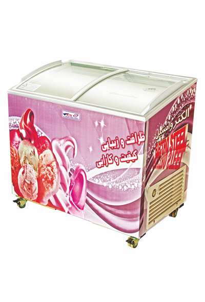 Small cold flower refrigerator and freezer