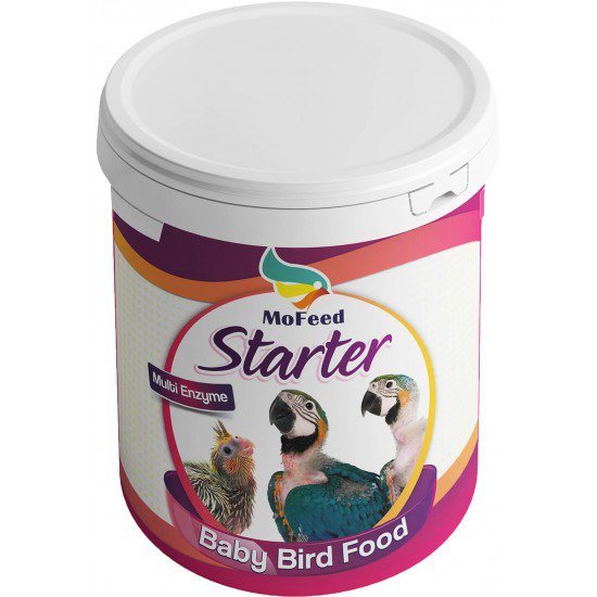MOFEED BABY BIRD FOOD