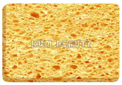 CS0101 cleanning sponge
